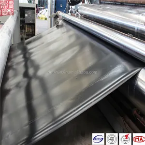 China vis farm dekzeil en pond liner HDPE geomembrane sheet voor waterdichte projecten