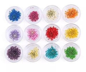 Popolare 12 colori di Arte Del Chiodo 3D Fiore Secco Naturale Premuto Secchi <span class=keywords><strong>Fiori</strong></span> di Pizzo Della Decorazione di Bellezza Nail <span class=keywords><strong>Sticker</strong></span> per UV LED gel - Product Image 4