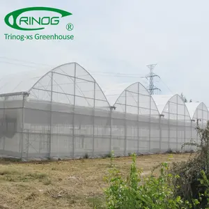 Alta tecnologia de plástico agrícola casa verde para a fazenda de tomate