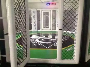 Sàn đấu võ tổng hợp MMA hình bát giác/ Giá lồng đấu võ tổng hợp MMA kích thước bát giác/ Bán lồng đấu võ tổng hợp MMA tại Anh - Product Image 3