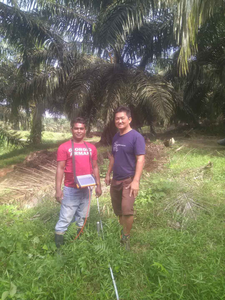 Detector de Minería PQWT-WT700, Máquina de Detección de Minerales Subterráneos de 600 m, Perforación Minera - Product Image 5