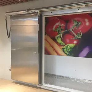 Auto Sliding Doors Guangdong Coldroom Cold Storage