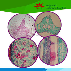 Directo de fábrica de la enseñanza y <span class=keywords><strong>el</strong></span> aprendizaje de 100 piezas botánica diapositivas preparadas - Product Image 3