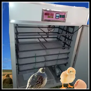 incubadora incubadora de huevos de pollo / aves / incubadora de huevos