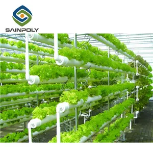 China Supplier Hydroponic Greenhouse For Agriculture