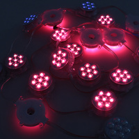 Lumière ponctuelle à pixels RGB 24V extérieure 50MM 7 LED UCS1903