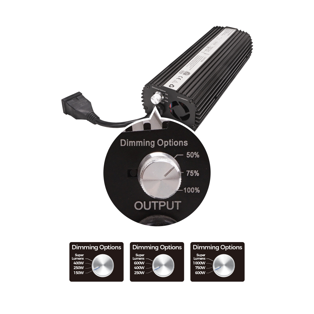 digital electronic ballast 1000w rs 485