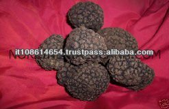 SOUCE de tomate con trufa en frasco, etiqueta personalizable lista para usar para pasta, pizza, carne, BRC IFS - Product Image 3