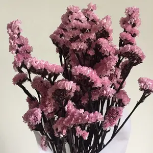 Limonium Sinuatumの花とも呼ばれる自然で長持ちする海のラベンダーの花