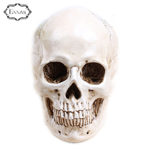 Polyresin Personalizado Animal Cabeza Del Cráneo, Resina de Halloween Cráneo Dirige - Product Image 4