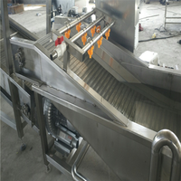 Industriële Verse Groenten En Fruit Reinigings-En Verwerkingsmachines Jujube Wasmachine Met Luchtdroogapparatuur