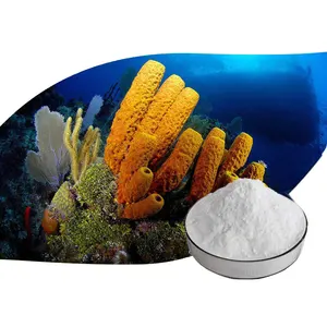 99.51% Spongilla Powder Private Label Natural Skin Care Cosmetic Ingredients Hydrolyzed Sponge Spicules