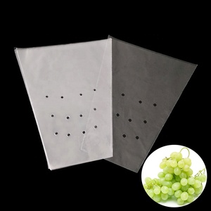 Gıda sınıfı LDPE yamuk şekli özel baskı logosu plastik torba üzüm meyve torbaları - Product Image 3