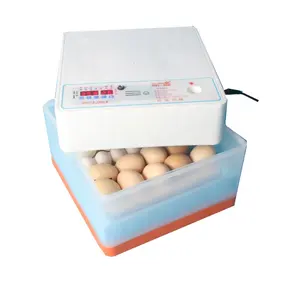 diseño de fábrica para incubar capacidad 20-30 pollo pato ganso pigeon huevo | incubadora de huevos automático de la máquina