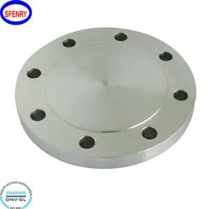 Sfenry 50A 100A 5K 10K JIS Standard MS Blind Flange