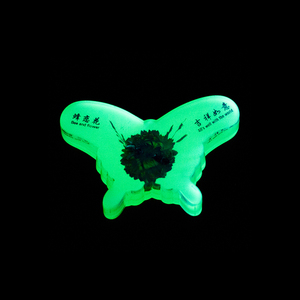 Chất lượng 100% phát quang phát sáng trong bóng tối nhựa photoluminescent nhựa - Product Image 3