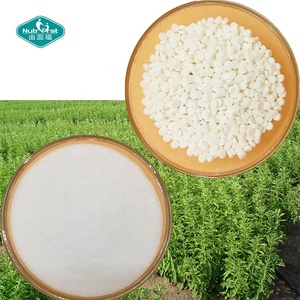 Comprimés d'édulcorant de remplacement de <span class=keywords><strong>sucre</strong></span> nutritive zéro Calorie biologique extrait de feuille de stévia Pure - Product Image 3