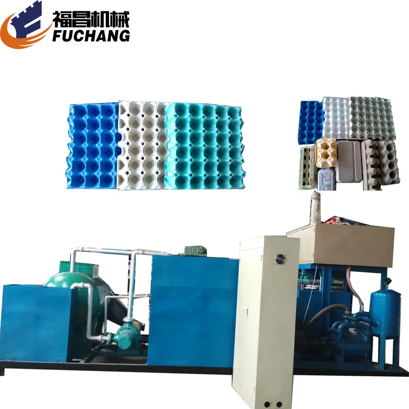 Paper Pulp Mould Disposable Recycled Paper Egg Carton Production Line Pulp Tray Moulding Plant Egg Tray Manufacturing Unit