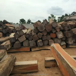 big squared Doussie logs from Africa Nigeria