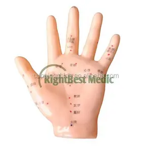 13 cm English Hand Acupuncture Points Model