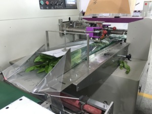 Taichuan <strong>Flow</strong> <strong>Wrapper</strong> Auomation Iceberg Lettuce Lettuce Packing <strong>Machine</strong> - Product Image 2