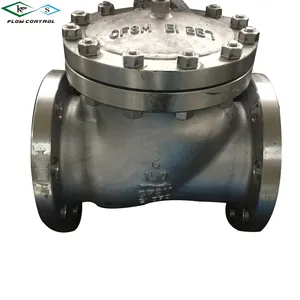 SS316 DN100 PN16 Flow Check Valve