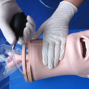 Multi-functional Airway Management รุ่น Intubation และดูดจำลองการฝึกอบรม - Product Image 2