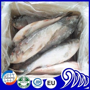 Chine Frais Congelé Asiatique <span class=keywords><strong>Poisson</strong></span> Carpe <span class=keywords><strong>Argent</strong></span>é - Product Image 5