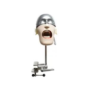 Sistema de treinamento dental, modelo de cabeça simples em aço inoxidável