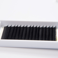 Extensions de cils individuelles, extensions de cils en marque privée