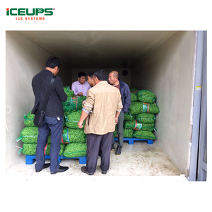ICEUPS equipo de refrigeración lechuga setas <span class=keywords><strong>brocolli</strong></span> enfriamiento rápido de la máquina - Product Image 6