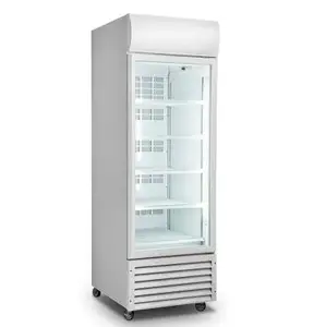 220L 유리제 문 음료 전시 냉각기 상업적인 음료 냉장고 강직한 냉장고 슈퍼마켓은 진열장을 냉장했습니다