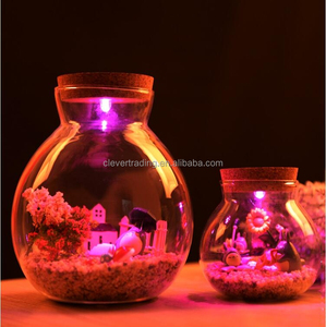 high quality sealed glass jar glass terrarium with colorful light for decoration