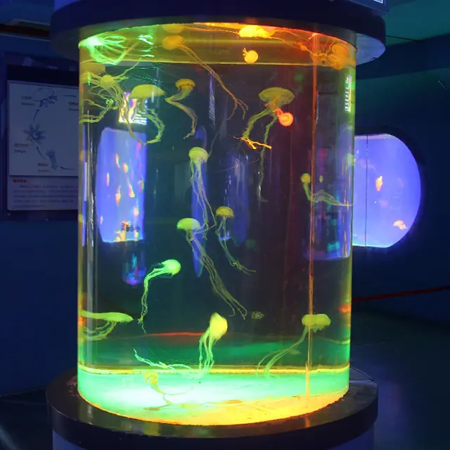 Aquariums de poisson en plexiglas, produit Unique fabriqué en chine, 100% chaînes et accessoires importés en acrylique, 20mm-600mm