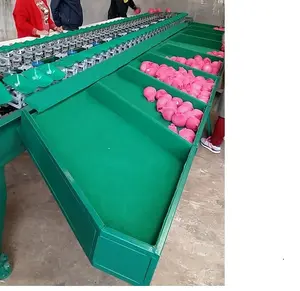 Apple Avocado Gewicht Fruit Sorteren Machine Sorter Sorteermachine