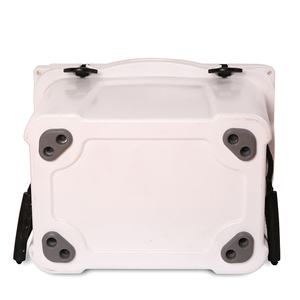 Wholesale Supply Cooler Box CANS Insulated 7 Days Letter CARTON+PE Bag Customized Logo Acceptable Within 20 Days Optional CN;ZHE