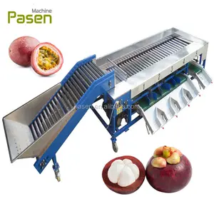 Mangostan Sorter Grader Maschine, Mangostan Grading Klassifizierung Maschine, Leidenschaft Obst Oliven Termine Sortiermaschine