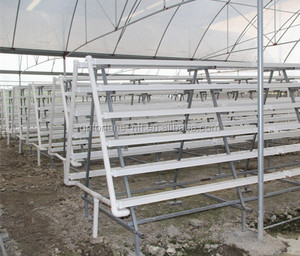 Herbe/tomate/laitue qui poussent dans le <span class=keywords><strong>bac</strong></span> <span class=keywords><strong>hydroponique</strong></span> - Product Image 1
