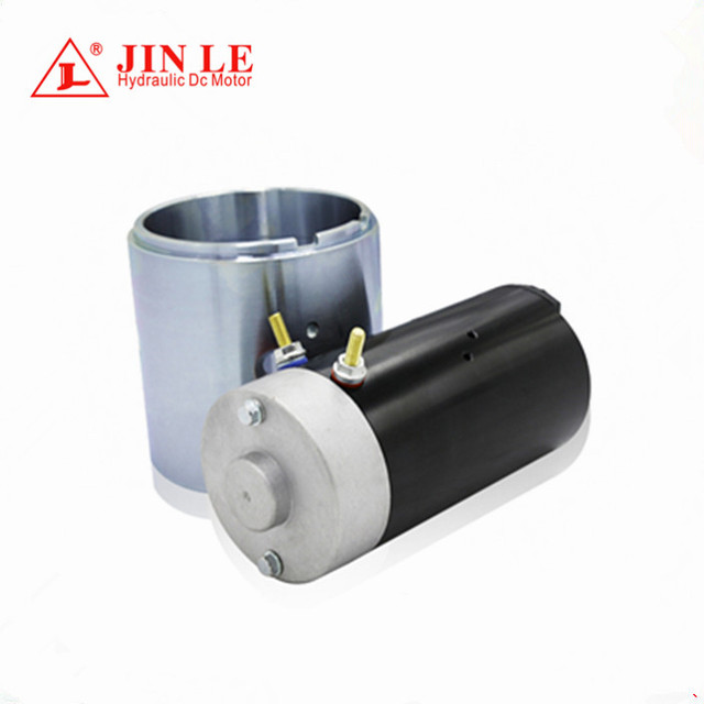 Electric 800 Watt 12 Volt Motor DC