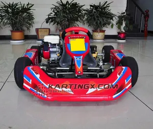 Hot stijl professionele racing go kart voor koop met Stalen Buis