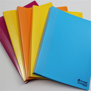 Trung Quốc Nhà máy chất lượng cao tùy chỉnh đầy màu sắc chất kết dính thư mục tập tin Giao hàng nhanh chóng Opaque nhựa thư mục tập tin cho bán - Product Image 4