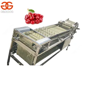 Hiệu Suất Tốt Lychee Jujube Sortor Blueberry Phân Loại Cherry Cà Chua Cherry Calibrator Máy