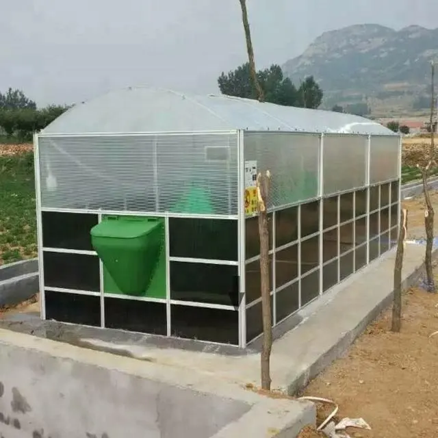 Teenwin biogaz faisant la machine usine de biogaz à la maison