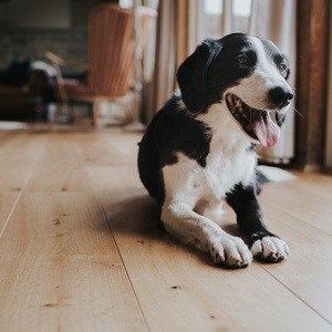 Timelessly Phong Cách 15/4X240Mm Màu Tự Nhiên Úc Nổi Được Thiết Kế Rộng Ván Sàn Gỗ - Product Image 3