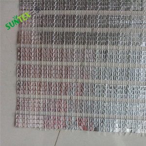 HOT Promitton HDPE Nhôm <span class=keywords><strong>L</strong></span>á Bóng <span class=keywords><strong>Net</strong></span>/Aluminet Nhà Kính Vải Bóng Râm 60% Bóng Râm - Product Image 2