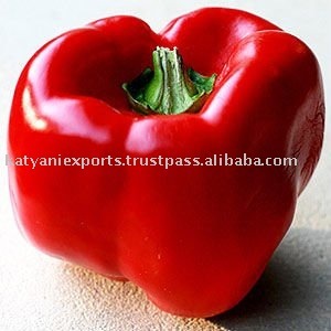 Oleorresina de Paprika fresca, distribuidor al por mayor, la más vendida, a precio de mercado - Product Image 2