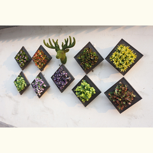 Decorativas al por mayor ciervos cabeza foto madera marco plantas suculentas Frames Set - Product Image 3