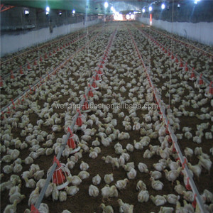 Mặt đất Sàn Gà Thịt Nuôi Thiết Bị với Khoan/Nạp pan/Núm Vú Uống/Nón Fan/Thức Ăn Sensor/làm mát pad/Rèm Cửa - Product Image 3