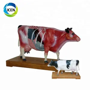 IN-502 先进塑料医疗动物身体针灸模型牛针灸模型