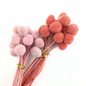Boule d'or préservée <span class=keywords><strong>fleurs</strong></span> <span class=keywords><strong>séchées</strong></span> Billy boules boutons pour noël pâques décoration de la maison <span class=keywords><strong>Bouquet</strong></span> 20 pièces/paquet - Product Image 3
